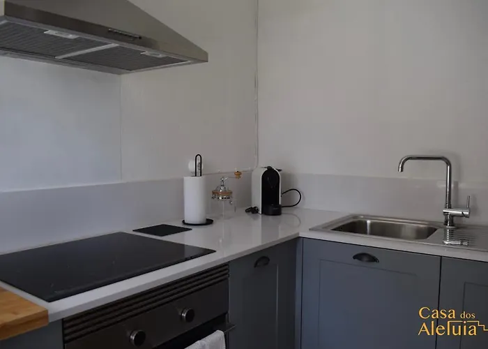 Casa Dos Aleluia 別荘 コインブラ