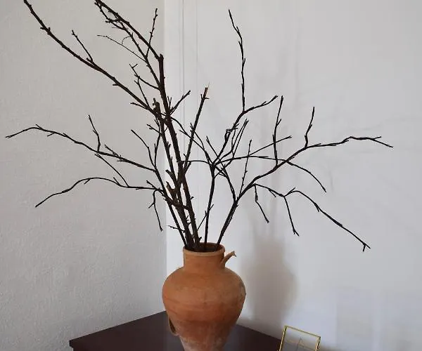 Casa Dos Aleluia 別荘